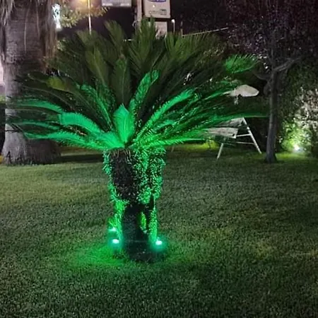 Nocleg ze śniadaniem The King 3*