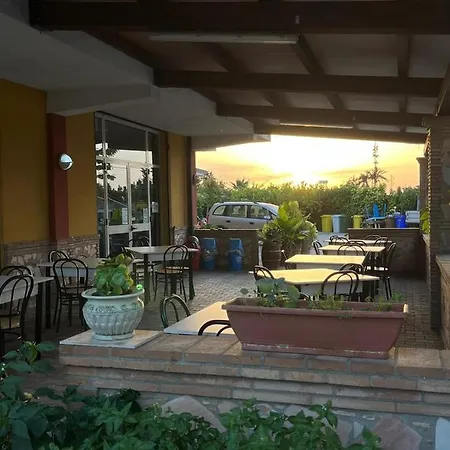 The King Bed & Breakfast