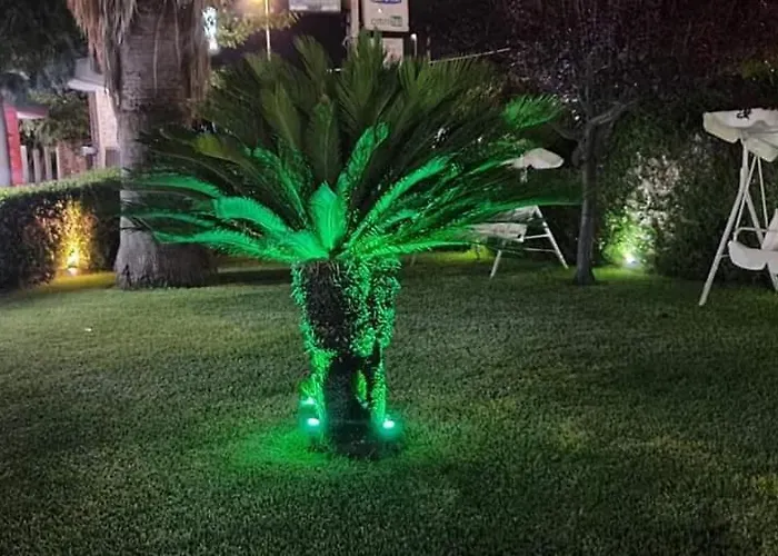 Bed & Breakfast The King 3*